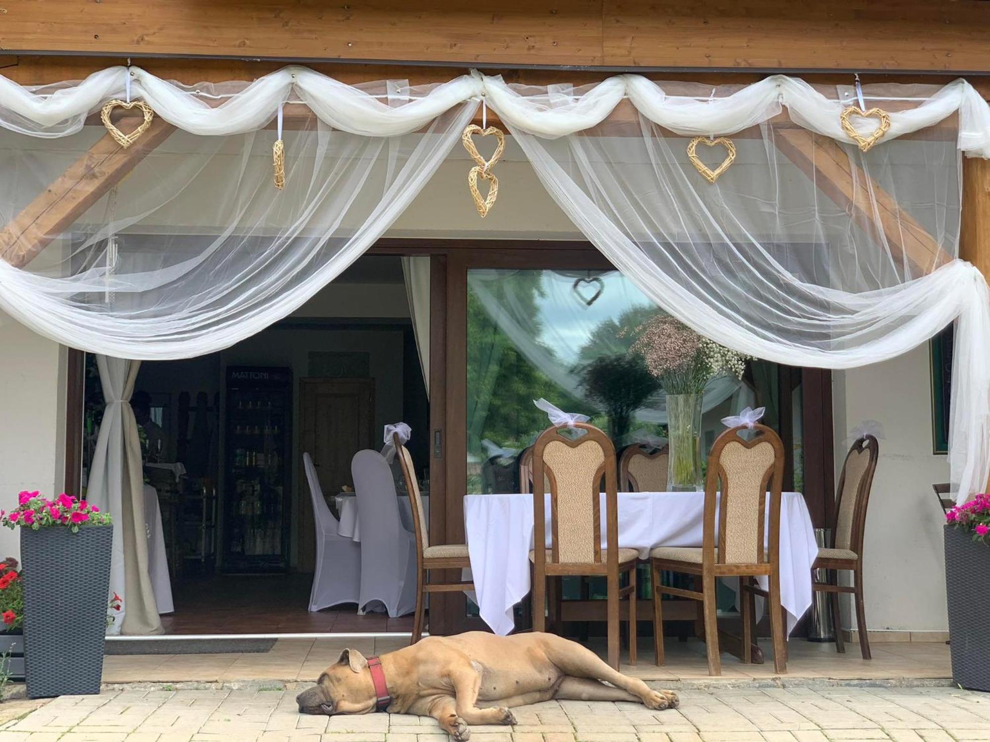 Soukromá rezidence Pohádková usedlost Lovětín Hotel Exterior foto